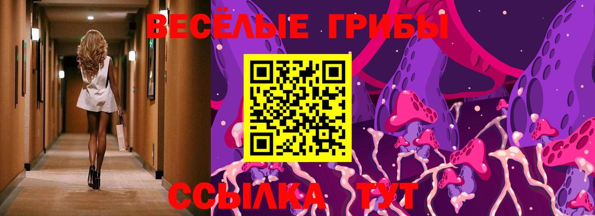 Галлюциногенные грибы Psilocybe  Вход с VPN  Воркута 
